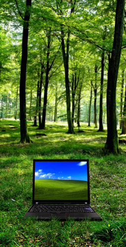 Forest PC